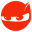CFG Ninja logo
